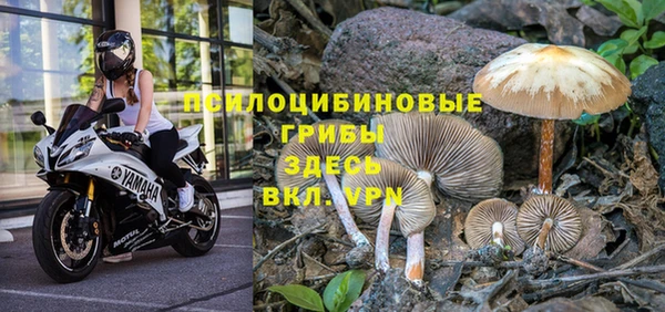 скорость Алзамай