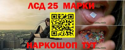 spice Бердск