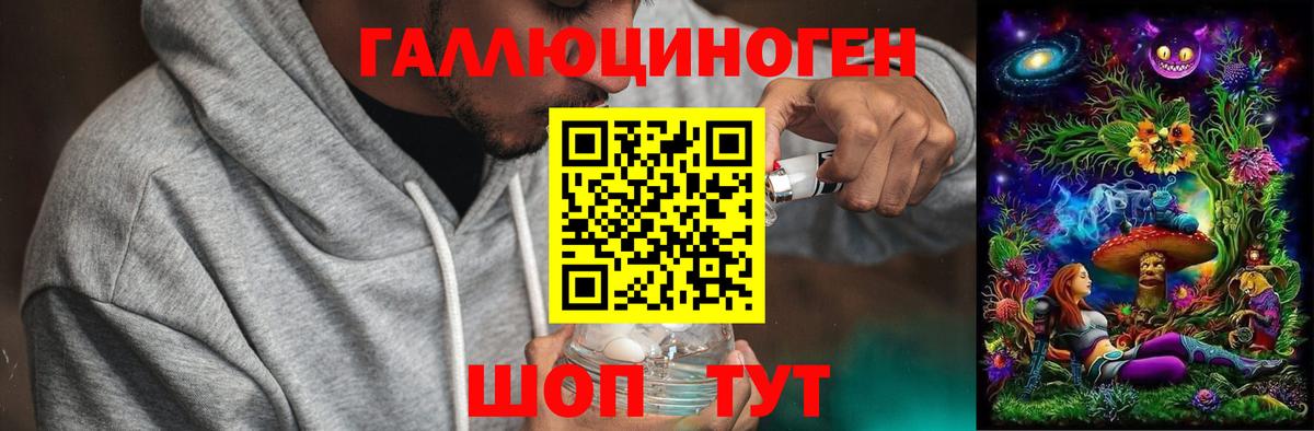 Псилоцибиновые грибы Psilocybe Салават